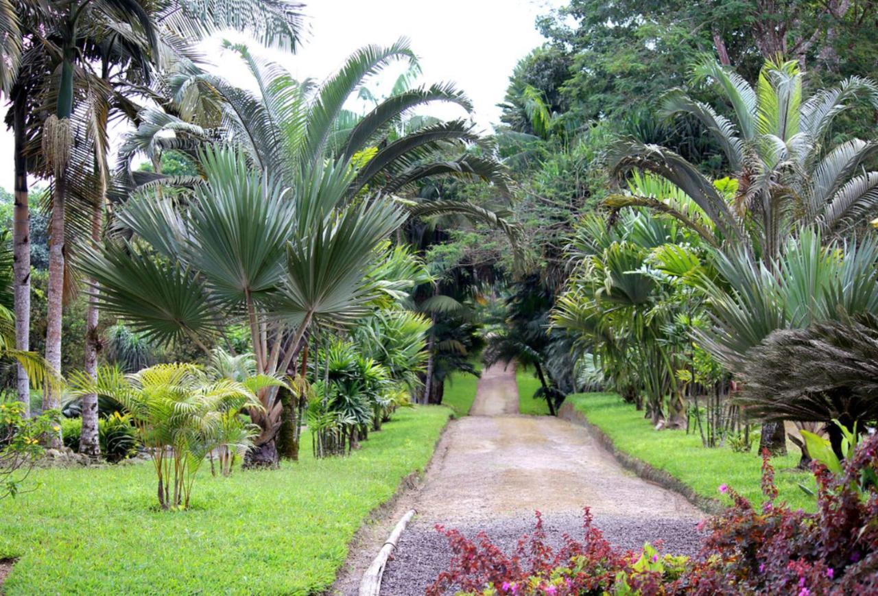 Bnb Tropical Island Aparthotel - Corales Del Sur - Santo Domingo Este La Viva Exterior foto
